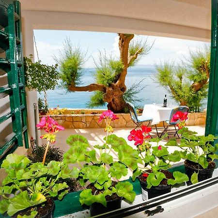 Studio Apartman Papic Drasnice Dış mekan fotoğraf